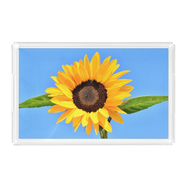 Yellow Sunflower Acrylic Tray Blue Sky (Front)