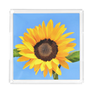 Yellow Sunflower Acrylic Tray Blue Sky