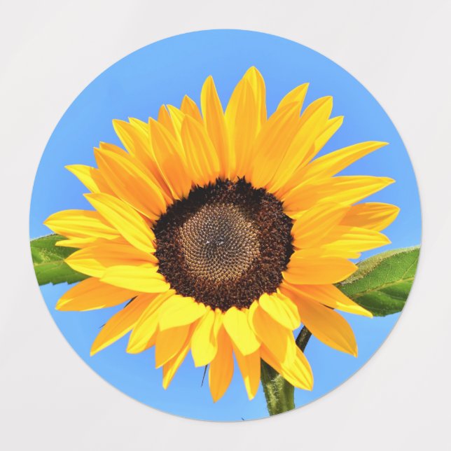Yellow Sunflower Against Sun on Blue Sky Labels (Design 1)