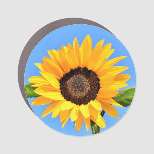 Yellow Sunflower Against Sun on Blue Sky _ Summer  Car Magnet