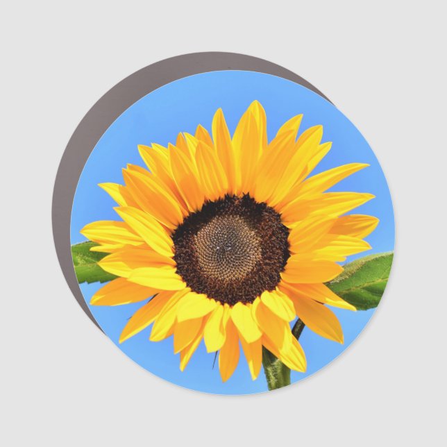 Yellow Sunflower Against Sun on Blue Sky - Summer  Car Magnet (Front)