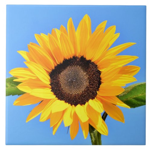 Yellow Sunflower Against Sun on Blue Sky _ Summer  Ceramic Tile