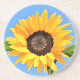 Yellow Sunflower Against Sun on Blue Sky - Summer Coaster