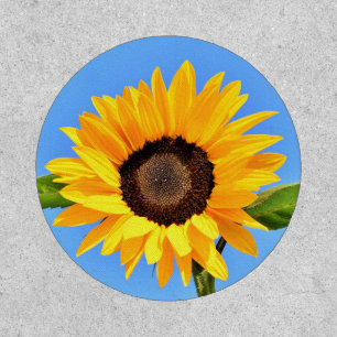Yellow Sunflower Against Sun on Blue Sky - Summer Patch