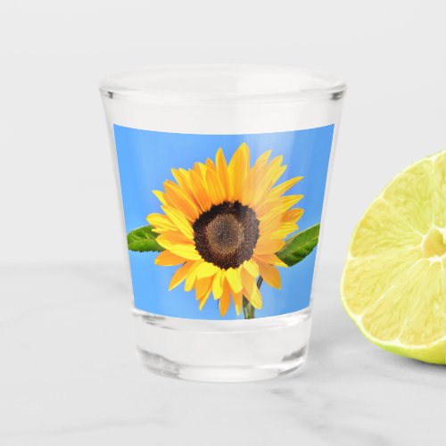 Yellow Sunflower Against Sun on Blue Sky _ Summer  Shot Glass