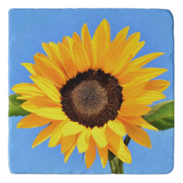Yellow Sunflower Against Sun on Blue Sky - Summer Trivet