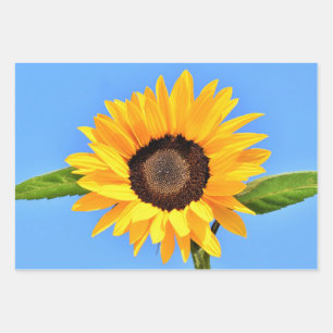 Yellow Sunflower Against Sun on Blue Sky - Summer Wrapping Paper Sheets