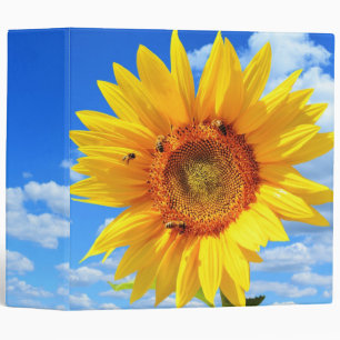 Yellow Sunflower and Bees 3 Ring Binder Blue Sky