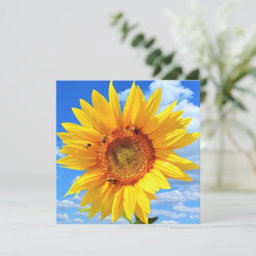 Yellow Sunflower and Bees Card