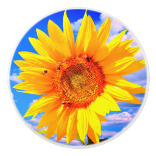 Yellow Sunflower and Bees Ceramic Knob