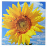 Yellow Sunflower and Bees Ceramic Tile<br><div class="desc">Ceramic Tiles with Yellow Sunflower and Bees on Blue Sky - Summer Day - Photo Flower Nature - You can also personalize - Choose / Add Your Unique Photo - Image / Text - Name / Color / Font / Size / more - Make Your Special Tile Gift - Resize...</div>