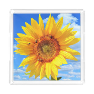 Yellow Sunflower and Bees on Blue Sky Acrylic Tray
