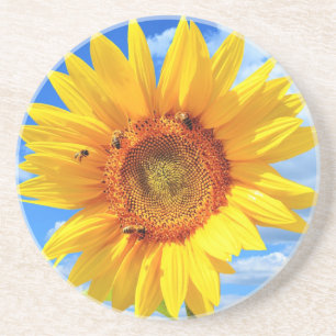 Yellow Sunflower and Bees on Blue Sky Coaster