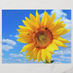 Yellow Sunflower and Bees on Blue Sky Flyer<br><div class="desc">Flyers with Yellow Sunflower and Bees on Blue Sky - Summer Day - Photo Flower Nature - You can also personalize - Choose / Add Your Unique Photo - Image / Text - Name / Color / Font / Size / more - Make Your Special Flyer Gift - Resize and...</div>