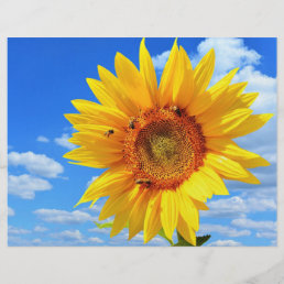 Yellow Sunflower and Bees on Blue Sky Flyer