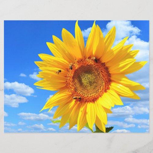 Yellow Sunflower and Bees on Blue Sky Flyer