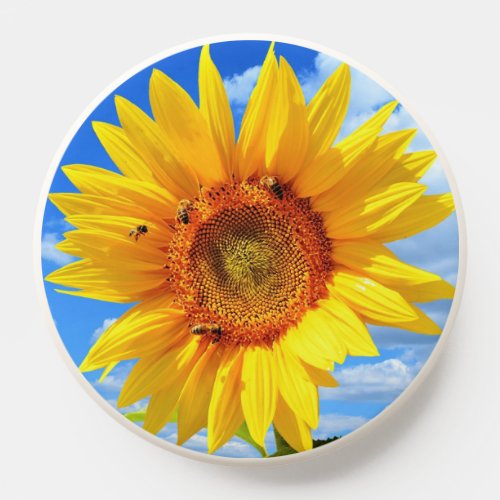 Yellow Sunflower and Bees on Blue Sky PopSocket