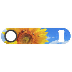 Yellow Sunflower and Bees on Blue Sky - Summer Day Bar Key