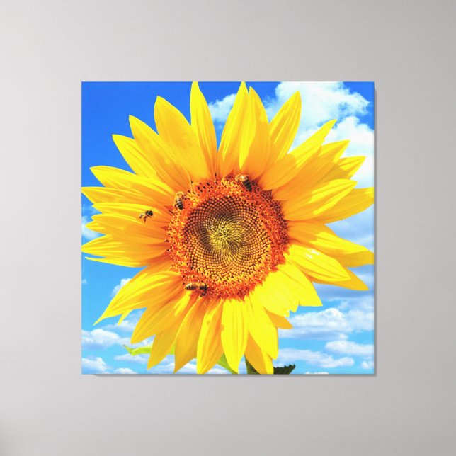 Yellow Sunflower and Bees on Blue Sky - Summer Day Canvas Print (Front)