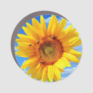 Yellow Sunflower and Bees on Blue Sky - Summer Day Car Magnet
