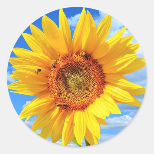 Yellow Sunflower and Bees on Blue Sky _ Summer Day Classic Round Sticker