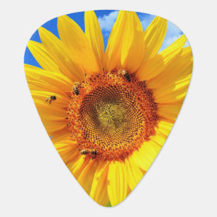 Yellow Sunflower and Bees on Blue Sky - Summer Day Guitar Pick
