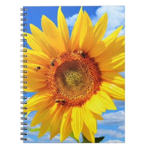 Yellow Sunflower and Bees on Blue Sky _ Summer Day Notebook