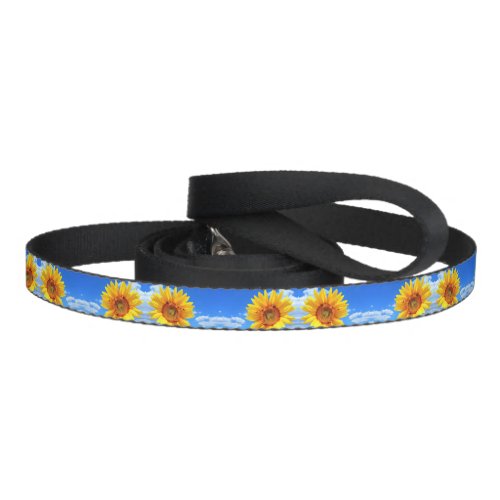 Yellow Sunflower and Bees on Blue Sky _ Summer Day Pet Leash