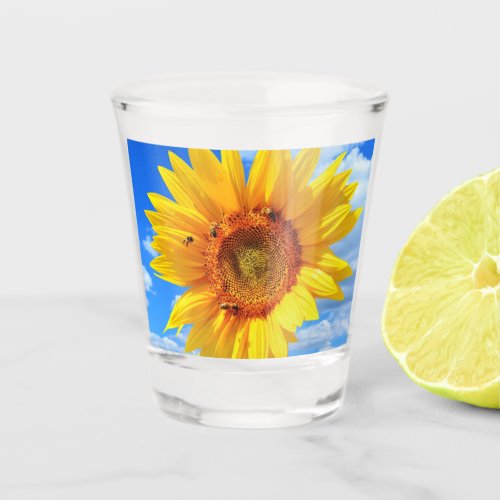 Yellow Sunflower and Bees on Blue Sky _ Summer Day Shot Glass