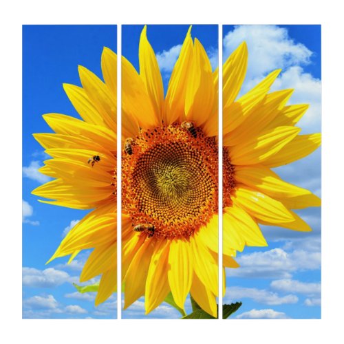 Yellow Sunflower and Bees on Blue Sky _ Summer Day Triptych