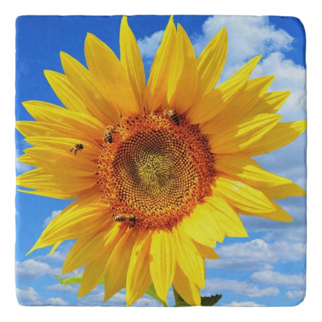 Yellow Sunflower and Bees on Blue Sky - Summer Day Trivet (Front)