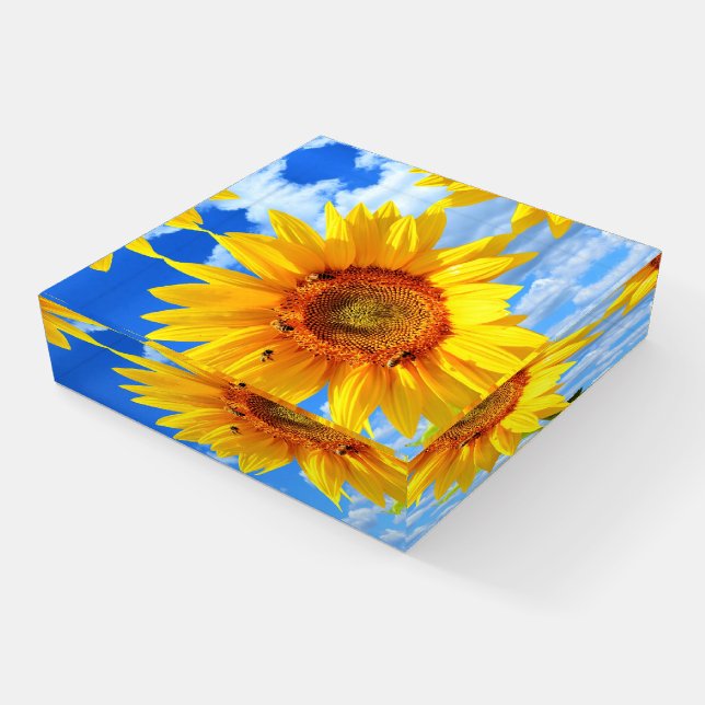 Yellow Sunflower and Bees on Blue Sky - Summer  Paperweight (Angled)