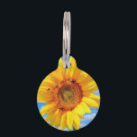 Yellow Sunflower and Bees Pet ID Tag<br><div class="desc">Pet ID Tags with Yellow Sunflower and Bees on Blue Sky - Summer Day - Photo Flower Nature - You can also personalize - Choose / Add Your Unique Photo - Image / Text - Name / Color / Font / Size / more - Make Your Special Gift - Resize...</div>