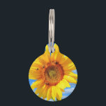 Yellow Sunflower and Bees Pet ID Tag<br><div class="desc">Pet ID Tags with Yellow Sunflower and Bees on Blue Sky - Summer Day - Photo Flower Nature - You can also personalize - Choose / Add Your Unique Photo - Image / Text - Name / Color / Font / Size / more - Make Your Special Gift - Resize...</div>