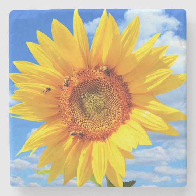 Yellow Sunflower and Bees Stone Coaster Blue Sky (Front)
