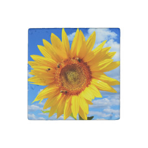 Yellow Sunflower and Bees Stone Magnet