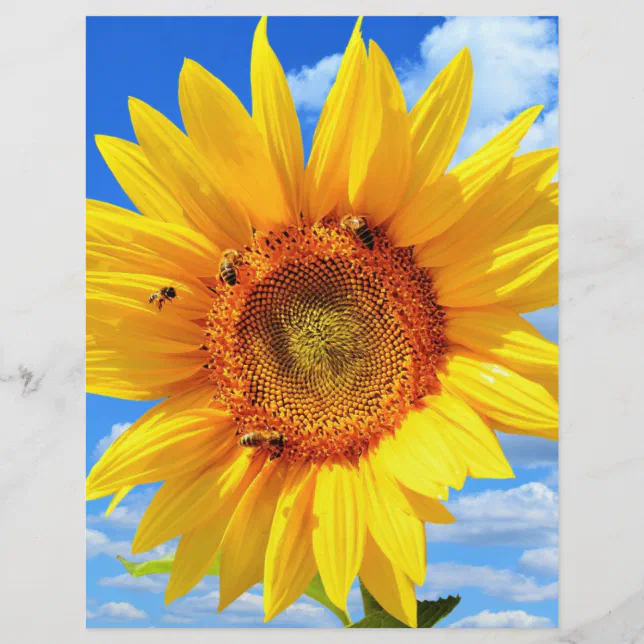 Yellow Sunflower and Bees Summer Letterhead | Zazzle