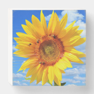 Yellow Sunflower and Bees Wooden Box Sign