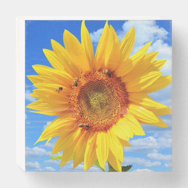 Yellow Sunflower and Bees Wooden Box Sign (Front Horizontal)