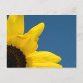 Yellow Sunflower and Blue Sky Table Number (Back)