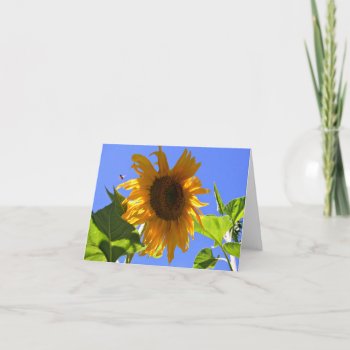 Yellow Sunflower And Honey Bee Summer Note Card by ForEverProud at Zazzle