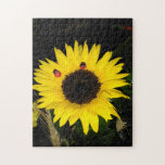 Yellow Sunflower And Two Ladybugs Jigsaw Puzzle<br><div class="desc">Beautiful,  radiant yellow sunflower and two ladybugs on black.</div>