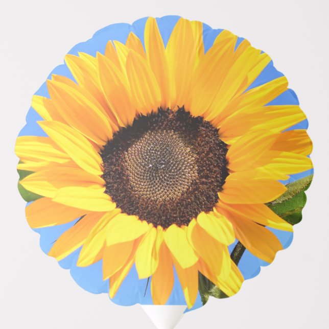 Yellow Sunflower Balloon (Front)