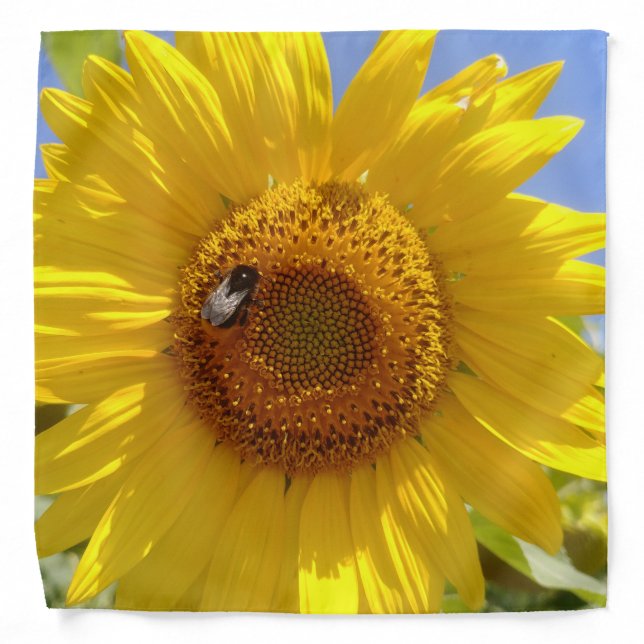 Yellow Sunflower Bandana (Front)