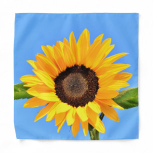 Yellow Sunflower Bandana