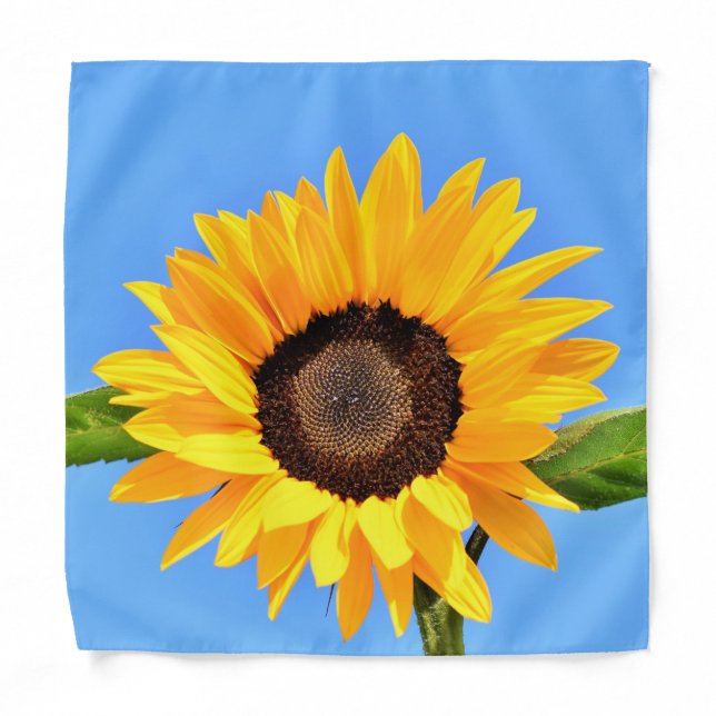 Yellow Sunflower Bandana (Front)