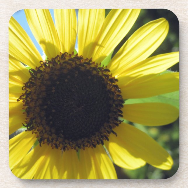 Yellow Sunflower Beverage Coaster (Front)