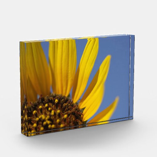 Yellow Sunflower Blue Sky Acrylic Award