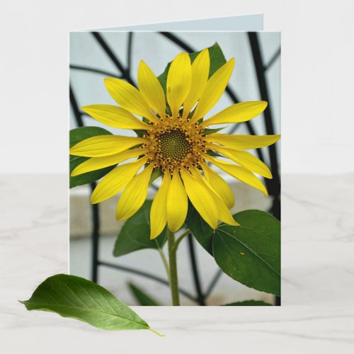 Yellow Sunflower Botanical Floral blank note card