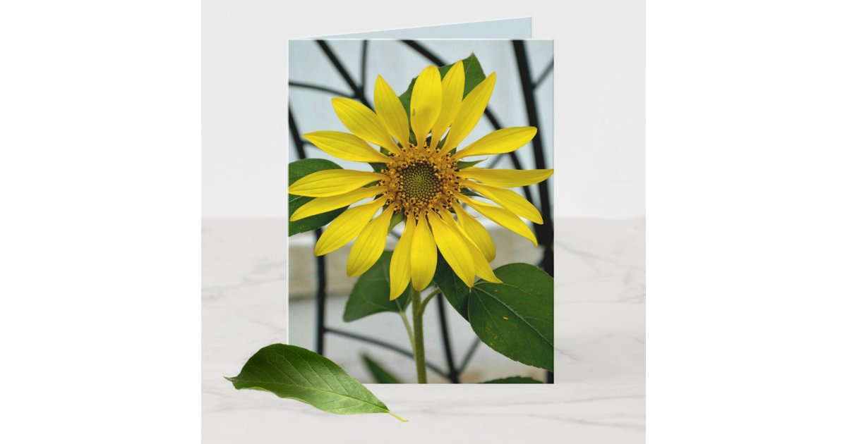 Yellow Sunflower Botanical Floral blank note card | Zazzle